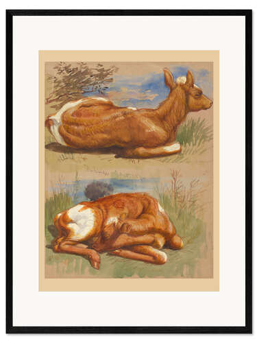 Impression artistique encadrée Three Studies of Calves