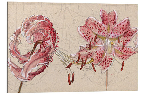 Tableau en aluminium Pink Spotted Lilies and Maple Seeds