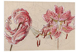 Foam board print Pink Spotted Lilies and Maple Seeds