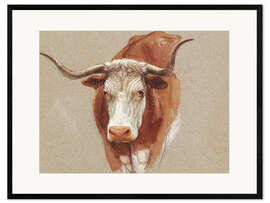 Ingelijste kunstdruk Head of a Cow or Ox