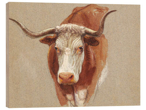 Wood print Head of a Cow or Ox