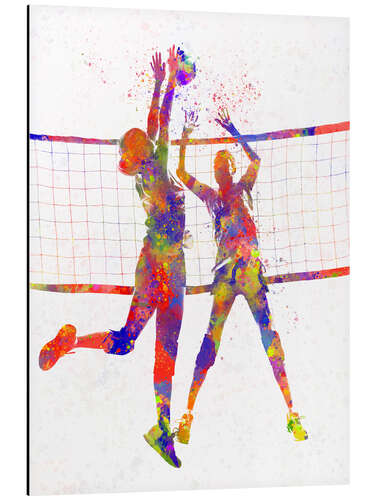 Aluminiumsbilde Two volleyball players I