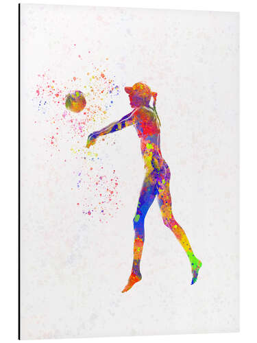 Aluminium print Volleyball player VII