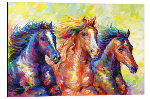 Aluminium print Royal Horses, Colourful