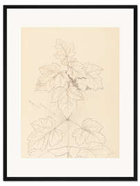 Gerahmter Kunstdruck Ahornblätter