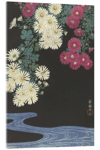 Acrylic print Chrysanthemums and Running Water, ca. 1925