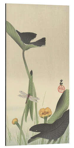 Aluminium print Dragonfly and Lotus, ca. 1900