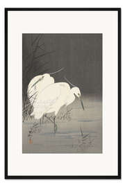 Gerahmter Kunstdruck Zwei Reiher im Schilf, ca. 1900