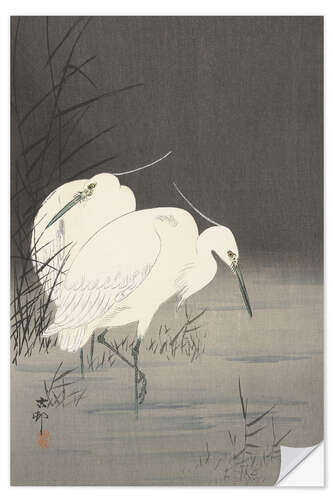 Selvklebende plakat Two Herons in the Reeds, ca. 1900