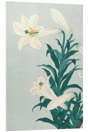 Foam board print Lilies, ca. 1900