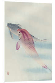 Gallery print Two Carp