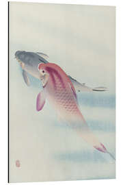 Magnettafel Zwei Karpfen