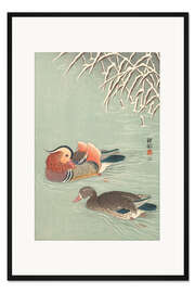 Gerahmter Kunstdruck Mandarinenten, ca. 1925