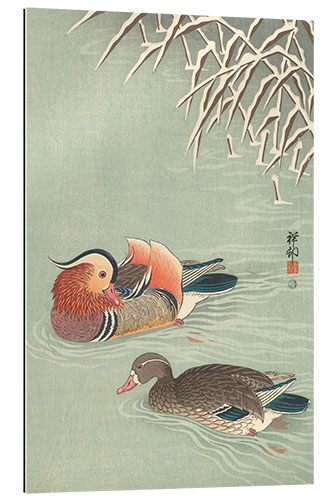 Gallery print Mandarin ducks, ca. 1925