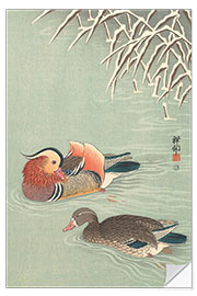 Selvklebende plakat Mandarin ducks, ca. 1925