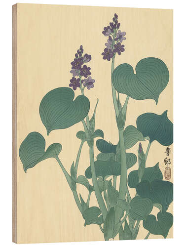 Hout print Flowering Hosta, ca. 1900