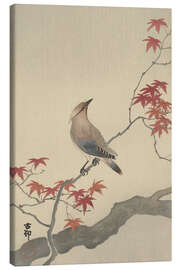 Canvas print  Japanese waxwing on maple, ca. 1900 - Ohara Koson