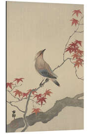 Magnettafel Japanischer Seidenschwanz auf Ahorn, ca. 1900