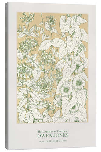 Canvas print Leaves from Nature No.9 (1856)