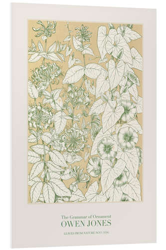 Foam board print Leaves from Nature No.9 (1856)