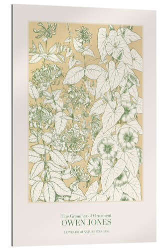 Tableau en plexi-alu Feuilles de la nature n ° 9 (1856)