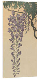 Foam board print Blooming wisteria