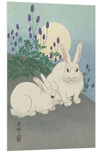 Foam board print Rabbit, ca. 1920