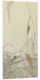 Foam board print Locusts on rice plants, ca. 1900