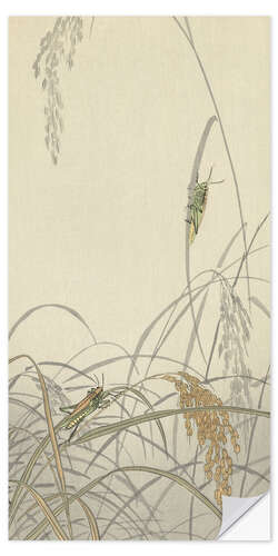 Wall sticker Locusts on rice plants, ca. 1900