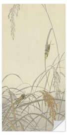 Selvklebende plakat Locusts on rice plants, ca. 1900