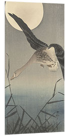 Foam board print Goose, ca. 1900