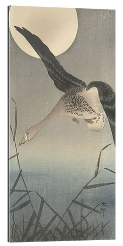 Gallery print Goose, ca. 1900