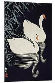 Gallery print White Chinese geese swimming through reeds, ca. 1928