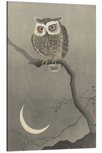 Aluminium print Long-eared owl on a bare branch, ca. 1900