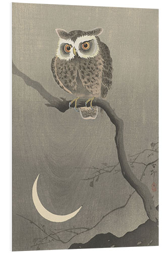 PVC print Long-eared owl on a bare branch, ca. 1900