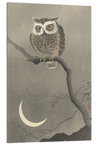 Galleriprint Long-eared owl on a bare branch, ca. 1900