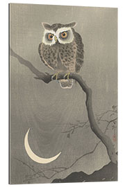 Gallery print Long-eared owl on a bare branch, ca. 1900