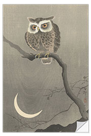 Sticker mural Hibou moyen-duc sur une branche nue, vers 1900