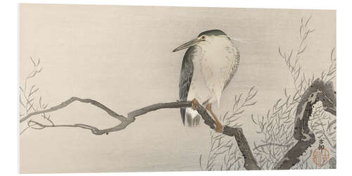 Foam board print Bird on Branch, ca. 1900