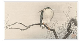 Print  Bird on Branch, ca. 1900 - Ohara Koson
