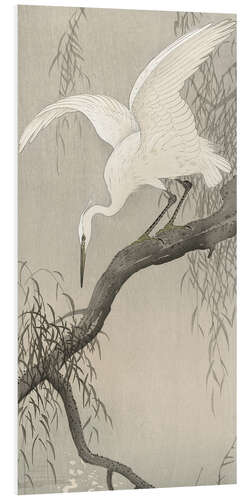 Foam board print White Heron on Branch, ca. 1900