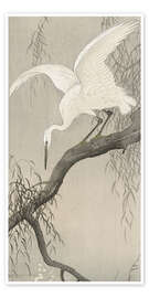 Poster Héron blanc sur une branche, vers 1900