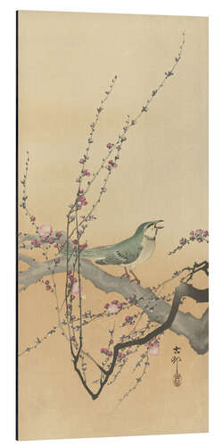 Aluminiumsbilde Songbird and Plum Blossom, ca. 1900