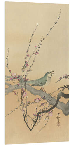 Foam board print Songbird and Plum Blossom, ca. 1900