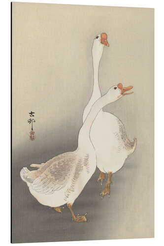 Aluminium print Two Geese, ca. 1900