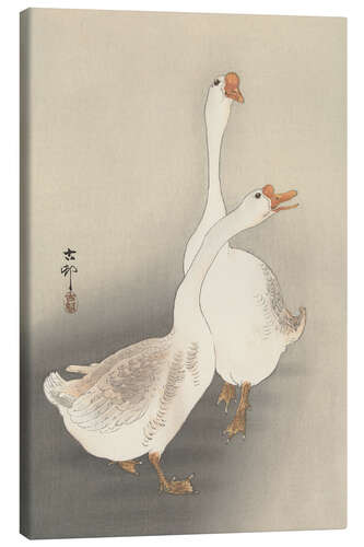 Canvas print Two Geese, ca. 1900