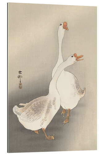 Gallery print Two Geese, ca. 1900