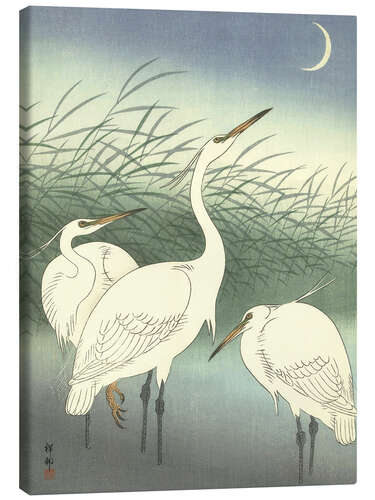 Canvas-taulu Heron in shallow water, 1934