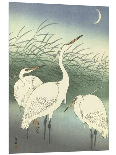 PVC print Heron in shallow water, 1934