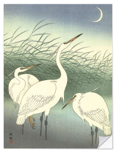 Selvklebende plakat Heron in shallow water, 1934